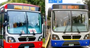 Corredores rojo y azul a un solo precio: ¿en qué paraderos se interconectarán los viajes por S/3,50?