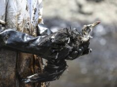 Urgen leyes ante desastres ambientales, necesitamos normas para asegurar que empresas indemnicen al estado