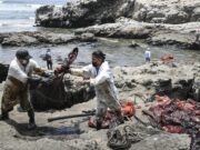 Comisión del Congreso Reporta Falta de Acciones de Rehabilitación tras Derrame de Petróleo