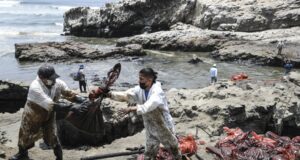 Comisión del Congreso Reporta Falta de Acciones de Rehabilitación tras Derrame de Petróleo