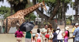 Feriados 2024 en Perú: conoce el calendario de días festivos que tendrá este año