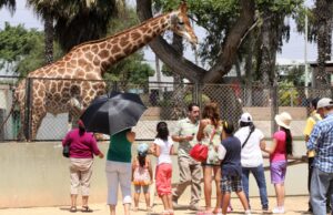 Feriados 2024 en Perú: conoce el calendario de días festivos que tendrá este año