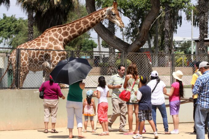 Feriados 2024 en Perú: conoce el calendario de días festivos que tendrá este año