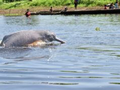 Huertos para la vida