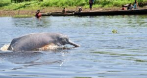 Huertos para la vida