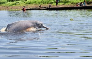 Huertos para la vida