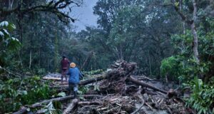 Cusco: Huaico cae sobre la vía férrea que une Ollantaytambo con Machu Picchu