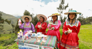 Emprendimiento de helados de sangrecita de cuy crece gracias al apoyo técnico de Foncodes