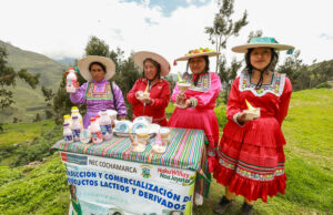 Emprendimiento de helados de sangrecita de cuy crece gracias al apoyo técnico de Foncodes