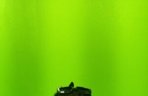 Doña Cheta a Ana Jaula: “Si tiene que irse, que se vaya. No la necesitamos”