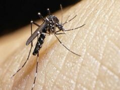 Gobierno declara emergencia sanitaria a 20 regiones por un plazo de 90 días debido al incremento del dengue