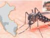 Números escalofriantes del dengue: MINSAno responde con liderazgo intersectorial
