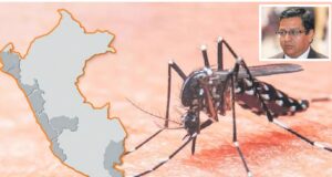 Números escalofriantes del dengue: MINSAno responde con liderazgo intersectorial
