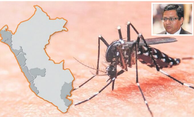 Números escalofriantes del dengue: MINSAno responde con liderazgo intersectorial