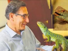 Martín Vizcarra: Pruebas irrefutables de coimas comprometen a expresidente en caso de“los intocables de la corrupción”