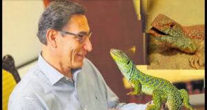 Martín Vizcarra: Pruebas irrefutables de coimas comprometen a expresidente en caso de“los intocables de la corrupción”