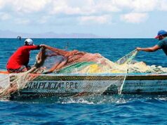 «Enseñar a pescar y no solo dar pescado»