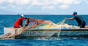 «Enseñar a pescar y no solo dar pescado»