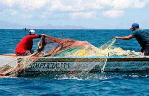 «Enseñar a pescar y no solo dar pescado»