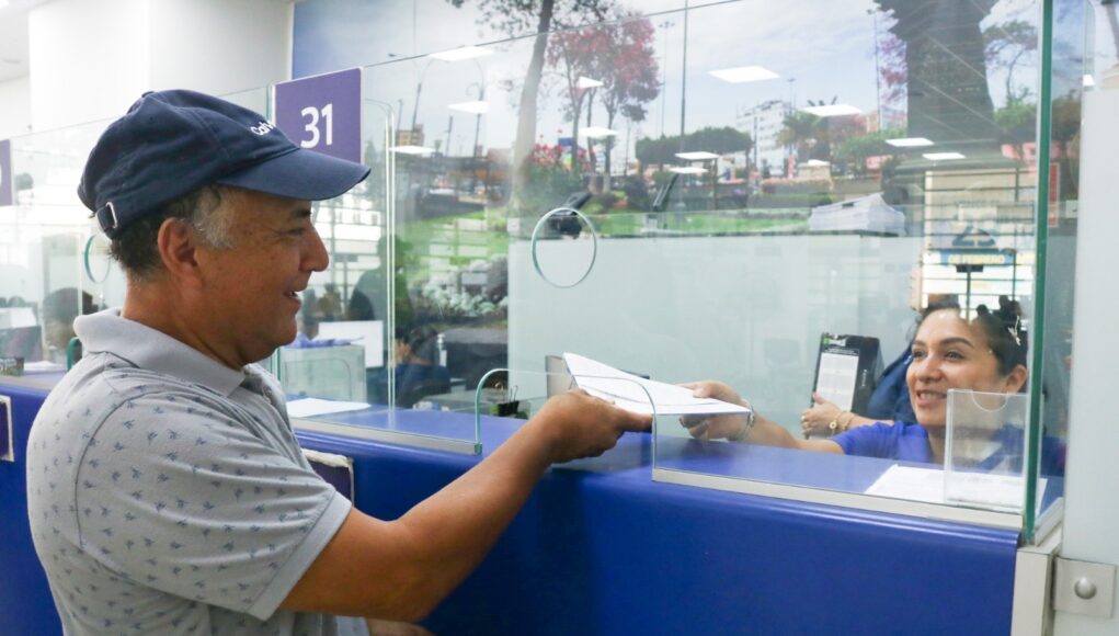 ¿Cuántos propietarios de vehículos han cumplido con el pago del impuesto al patrimonio vehicular?