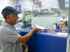 ¿Cuántos propietarios de vehículos han cumplido con el pago del impuesto al patrimonio vehicular?