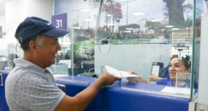 ¿Cuántos propietarios de vehículos han cumplido con el pago del impuesto al patrimonio vehicular?