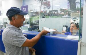 ¿Cuántos propietarios de vehículos han cumplido con el pago del impuesto al patrimonio vehicular?