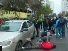 Lince en crisis: Resultado de una administración improvisada