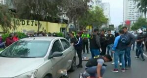 Lince en crisis: Resultado de una administración improvisada