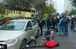 Lince en crisis: Resultado de una administración improvisada