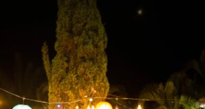 Verano de amor, grupo musical de adolescentes peruanos le cantan al amor con respeto y alegría