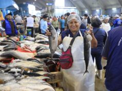 Semana Santa: PRODUCE promueve el consumo de pescado en ollas comunes, comedores populares y colegios