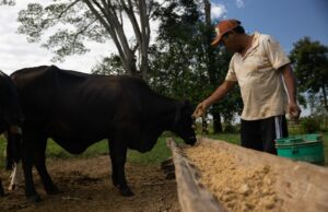 La Ganadería regenerativa, una solución para los desafíos del cambio climático en el sector agropecuario