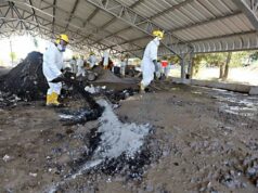 Perú reducirá impacto ambiental con nuevo método de destrucción de drogas