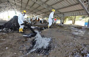 Perú reducirá impacto ambiental con nuevo método de destrucción de drogas