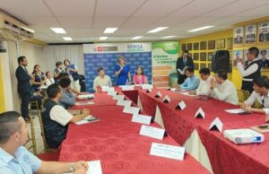 Minsa: Diris Lima Sur y trece municipalidades se unen en la lucha contra el dengue