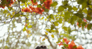 Daniel de Guevara presenta su refrescante debut en la cumbia con el tema » Tinto de Verano»(VIDEO)