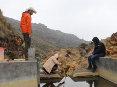 Ecosistemas en peligro:la urgencia de proteger nuestros ríos