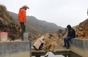 Ecosistemas en peligro:la urgencia de proteger nuestros ríos