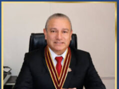 Los Colegios profesionales deben promover la gobernabilidad