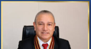 Los Colegios profesionales deben promover la gobernabilidad