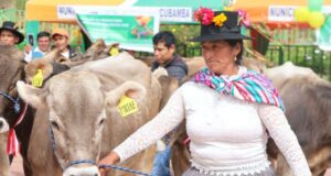 MIDAGRI inauguró módulos lecheros y entrega de vacunos en Huancavelica