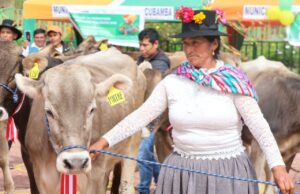 MIDAGRI inauguró módulos lecheros y entrega de vacunos en Huancavelica