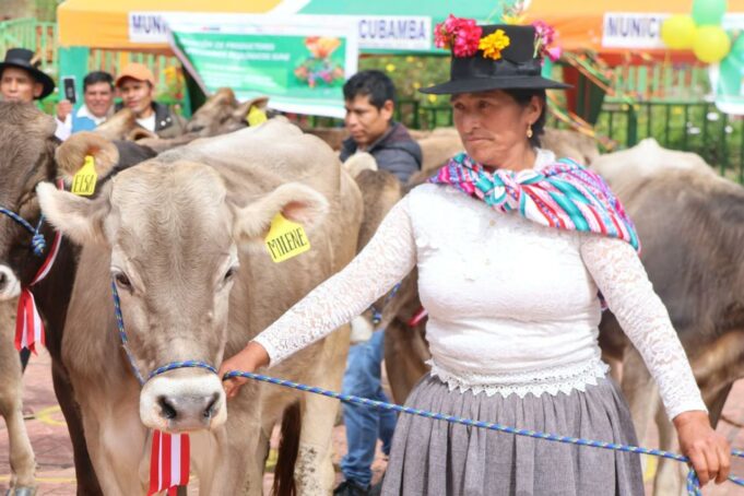 MIDAGRI inauguró módulos lecheros y entrega de vacunos en Huancavelica