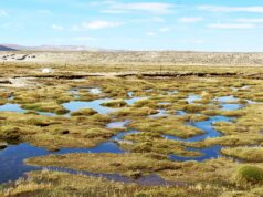 Perú da un gran paso para fortalecer la protección de humedales amenazados