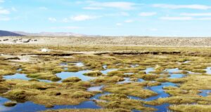 Perú da un gran paso para fortalecer la protección de humedales amenazados