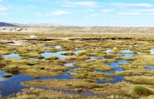 Perú da un gran paso para fortalecer la protección de humedales amenazados