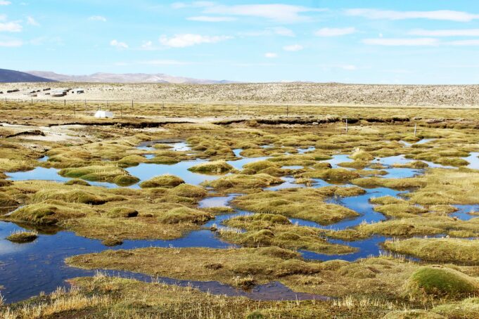 Perú da un gran paso para fortalecer la protección de humedales amenazados