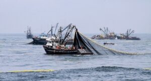 PRODUCE: Hoy inició la primera temporada de pesca de anchoveta en la zona norte-centro del país