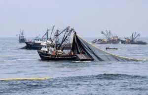 PRODUCE: Hoy inició la primera temporada de pesca de anchoveta en la zona norte-centro del país